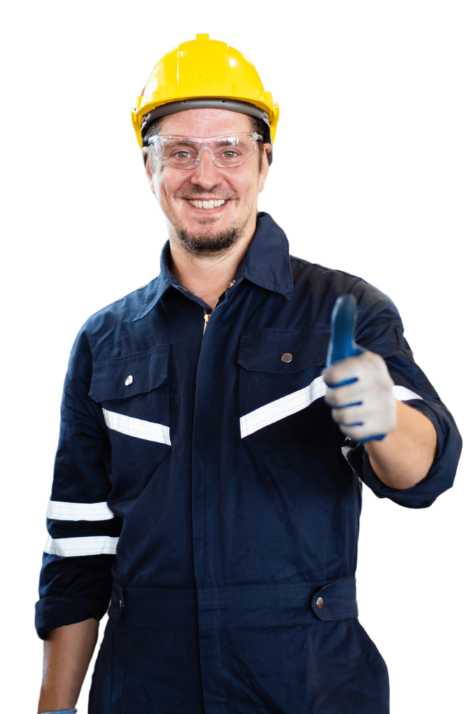 site inovaaut birigui