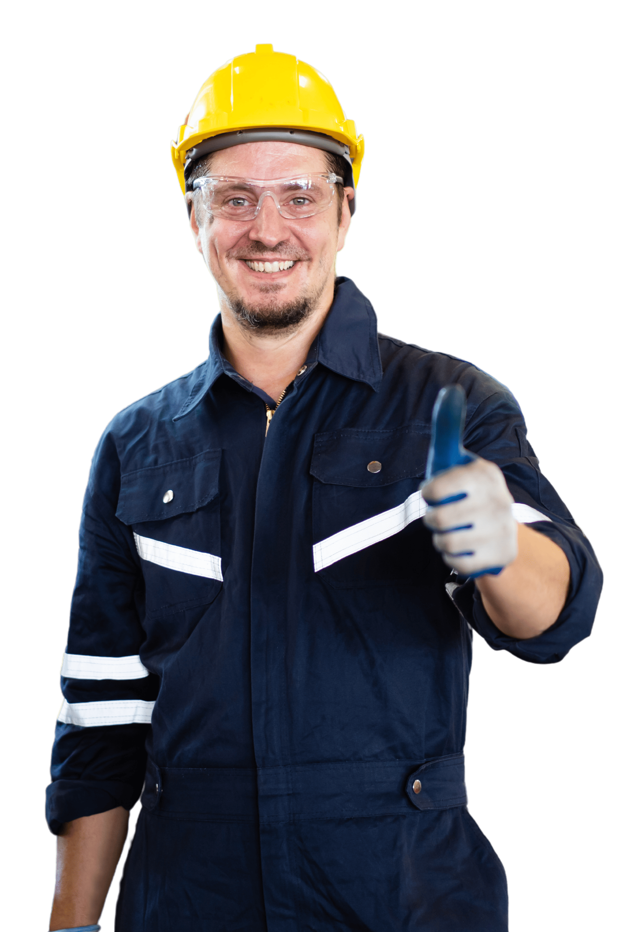 site inovaaut birigui